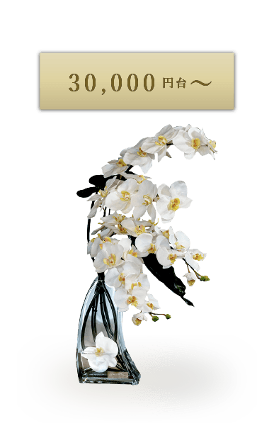 価格から選ぶ 30,000円台~