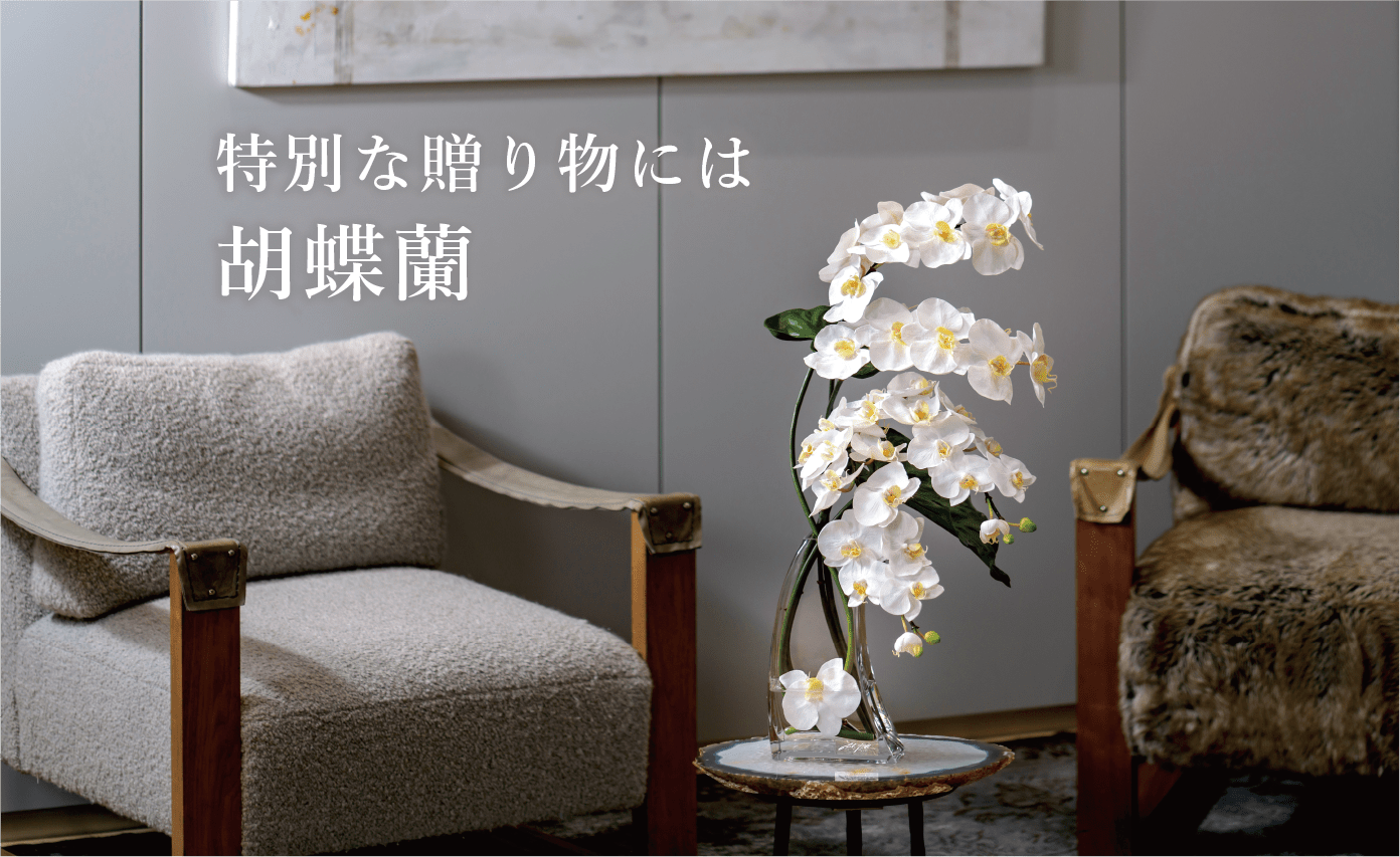【胡蝶蘭】贈答品に喜ばれるお洒落なアーティフィシャルフラワー特集