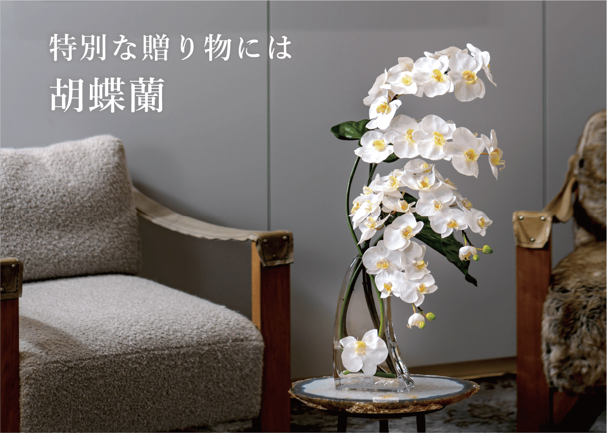 【胡蝶蘭】贈答品に喜ばれるお洒落なアーティフィシャルフラワー特集