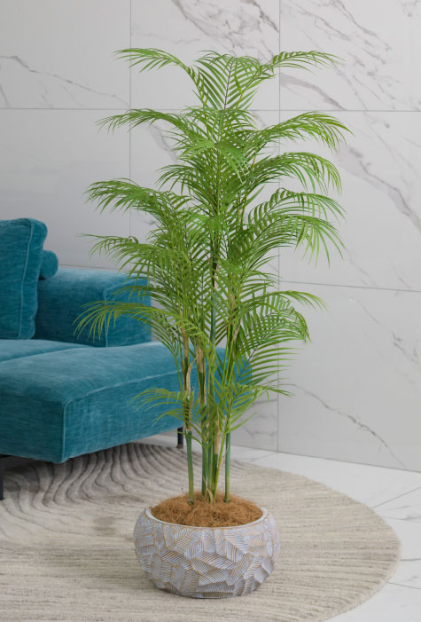 ココファイバー(付属品)