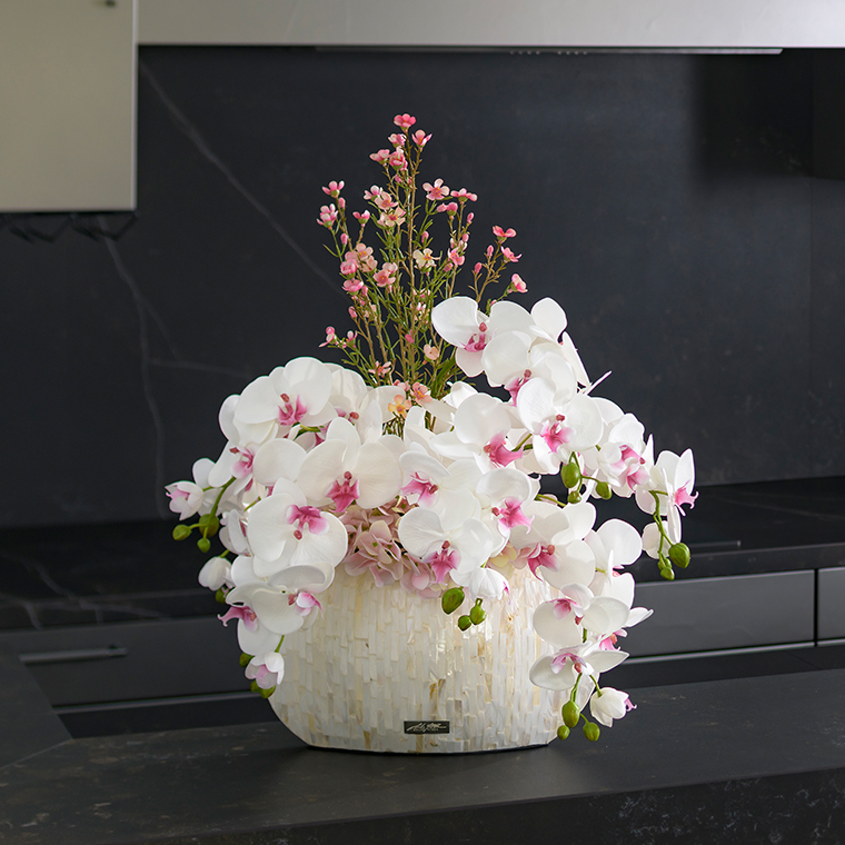 ファレノプシスリップピンク5L