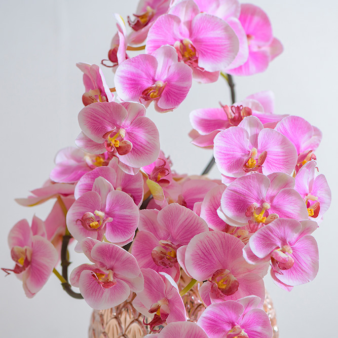 愛の気持ちを表す花
