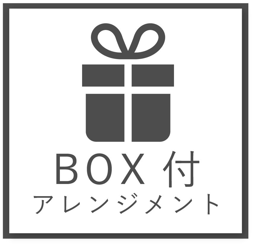 BOX付きプレゼント