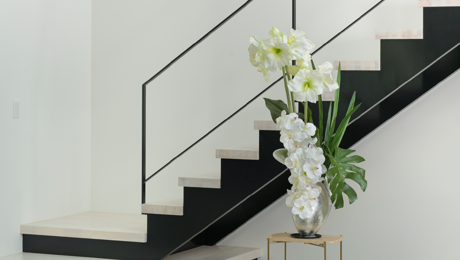 AMARYLLIS