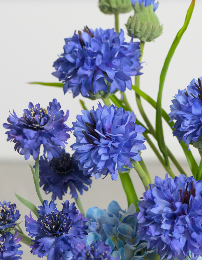 無限の美しさを放つBLUEのコーンフラワー