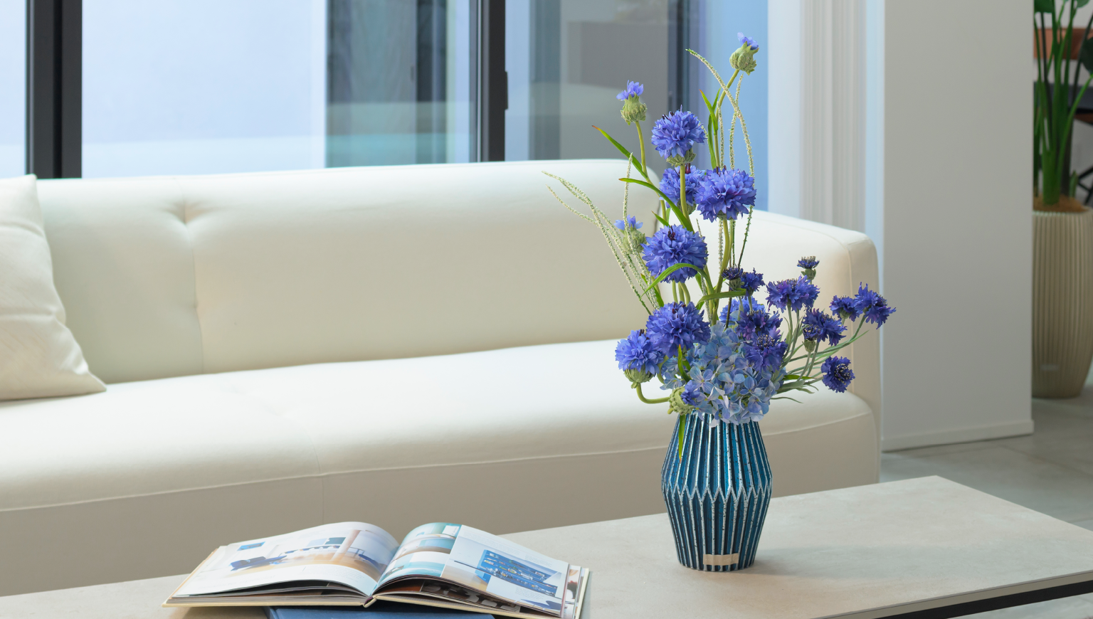 Cornflower