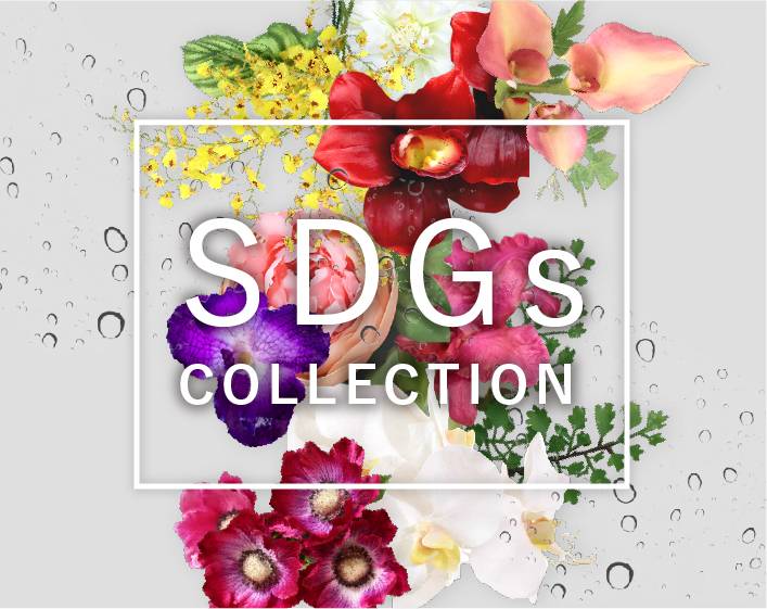 SDGs COLLECTION