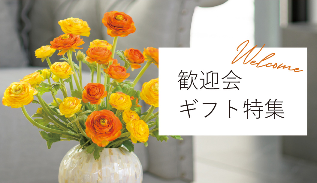 歓迎会ギフト特集