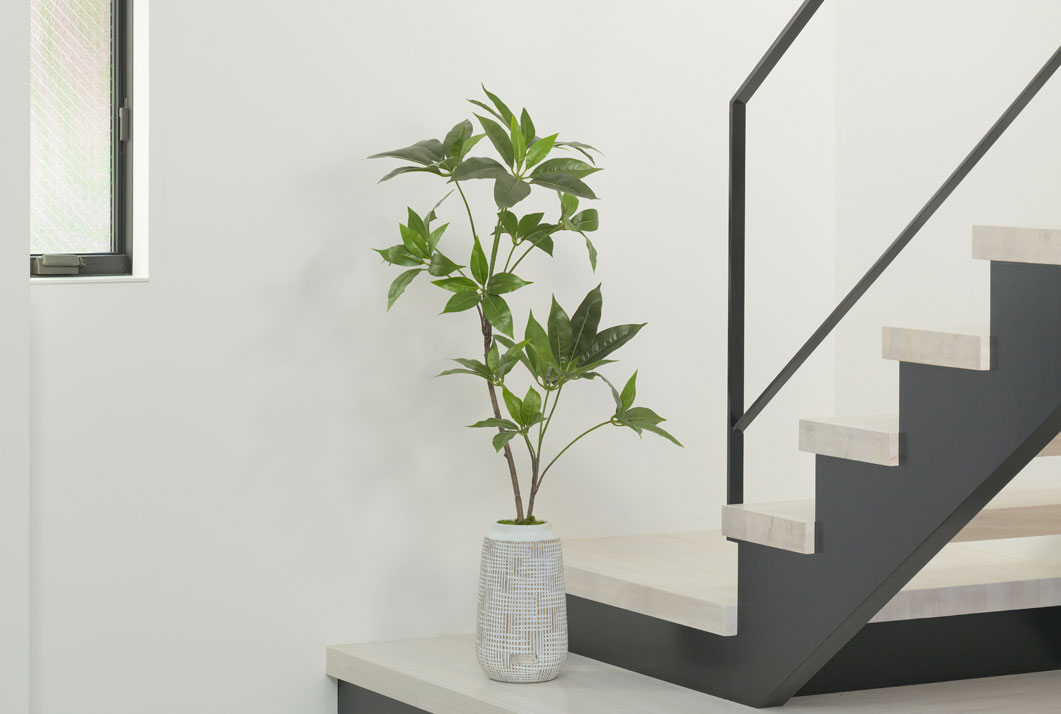 空間に溶け込み、存在で魅せるグリーン