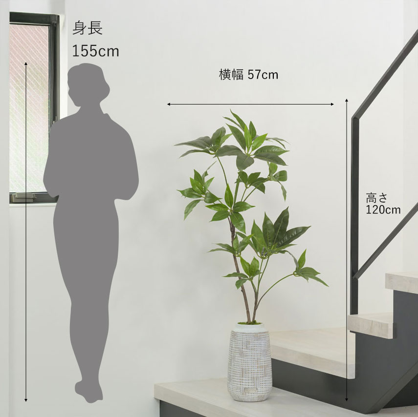 観葉植物 ツピタンサス アーティフィシャルグリーン ギフト お祝い