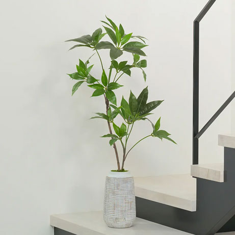 観葉植物　ツピタンサス 観葉植物 ツピタンサス アーティフィシャルグリーン ギフト お祝い