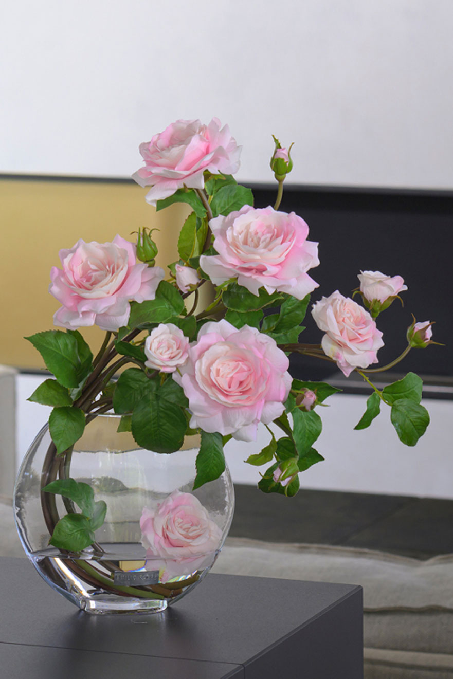 お世話が苦手な方に