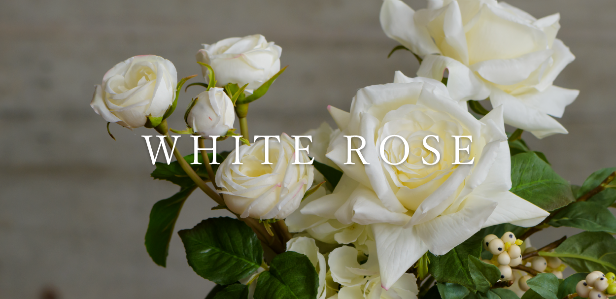 WHITE ROSE