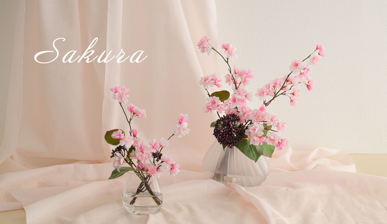 sakura