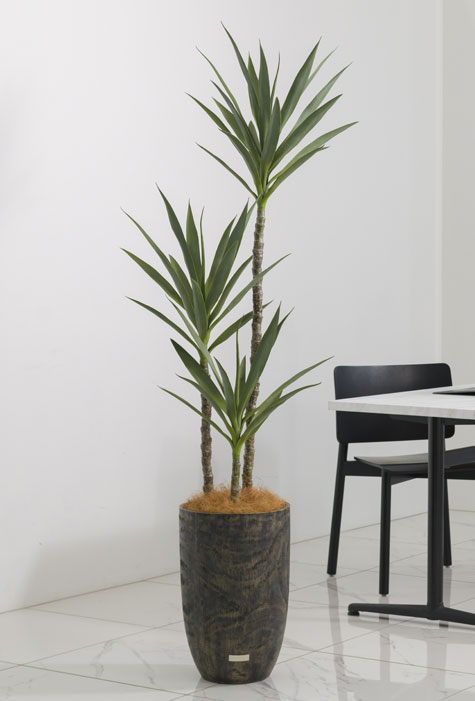 ココファイバー(付属品)