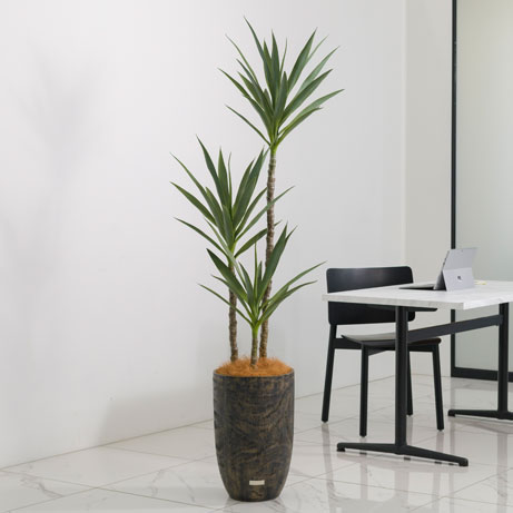 ユッカラン4L アーティフィシャルグリーン 観葉植物 ギフト プレゼント