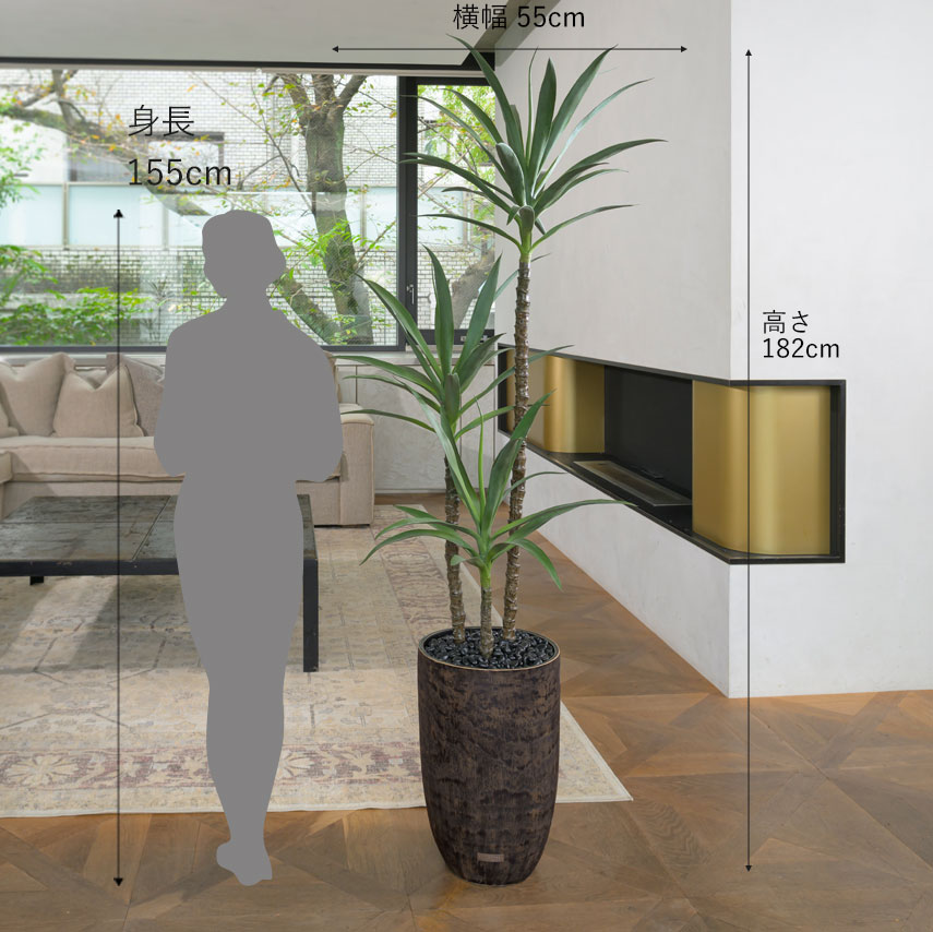 ユッカ 観葉植物 ユッカMサイズ バスケットB 204（カラー：グリーン）｜成長・発展を