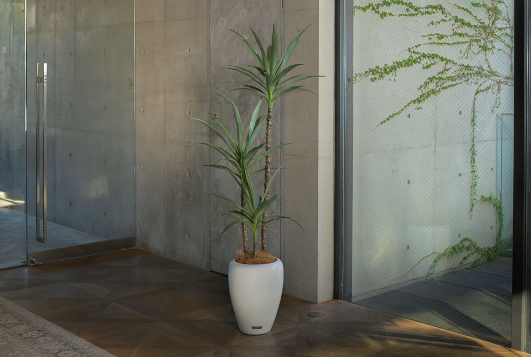 ユッカラン アーティフィシャルグリーン 観葉植物 ギフト プレゼント